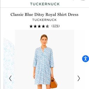 Tuckernuck Shirt Dress